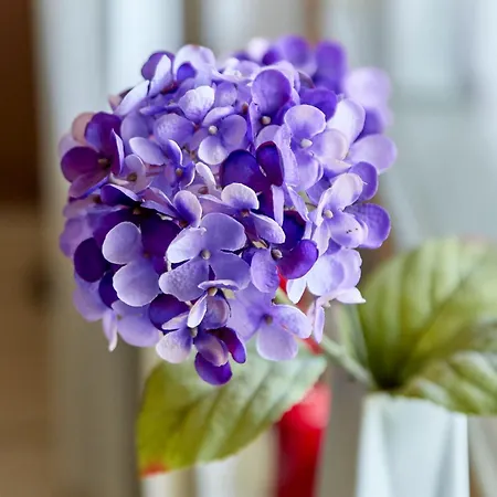 Cafe Rosi * 베른카슈텔쿠에스